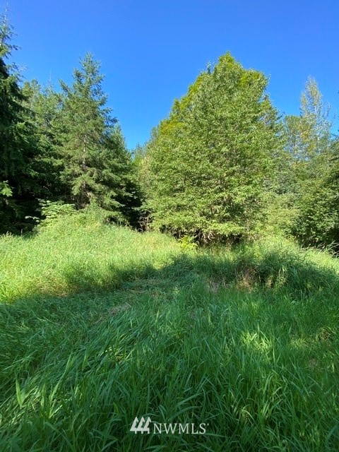 100 Smokey Valley Road Toledo, WA 98591 - Photo 16 of 22