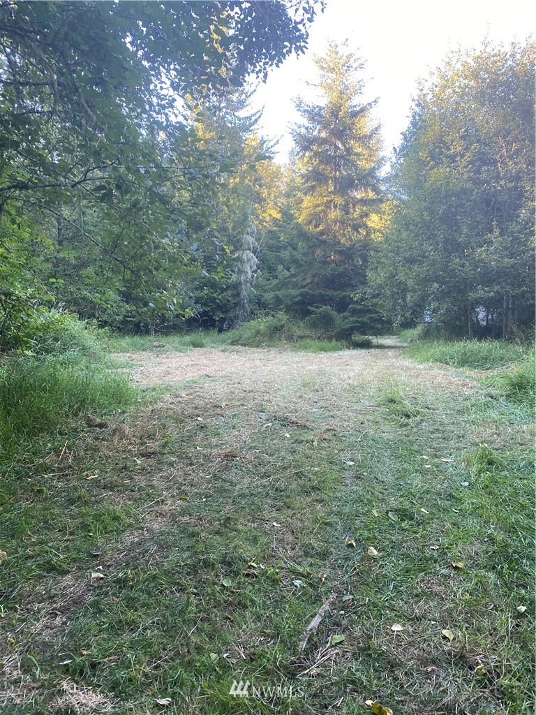 100 Smokey Valley Road Toledo, WA 98591 - Photo 19 of 22