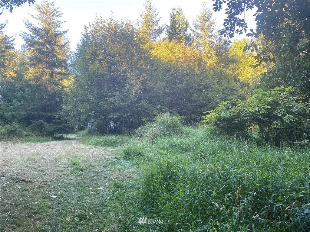 100 Smokey Valley Road Toledo, WA 98591 - Photo 20 of 22