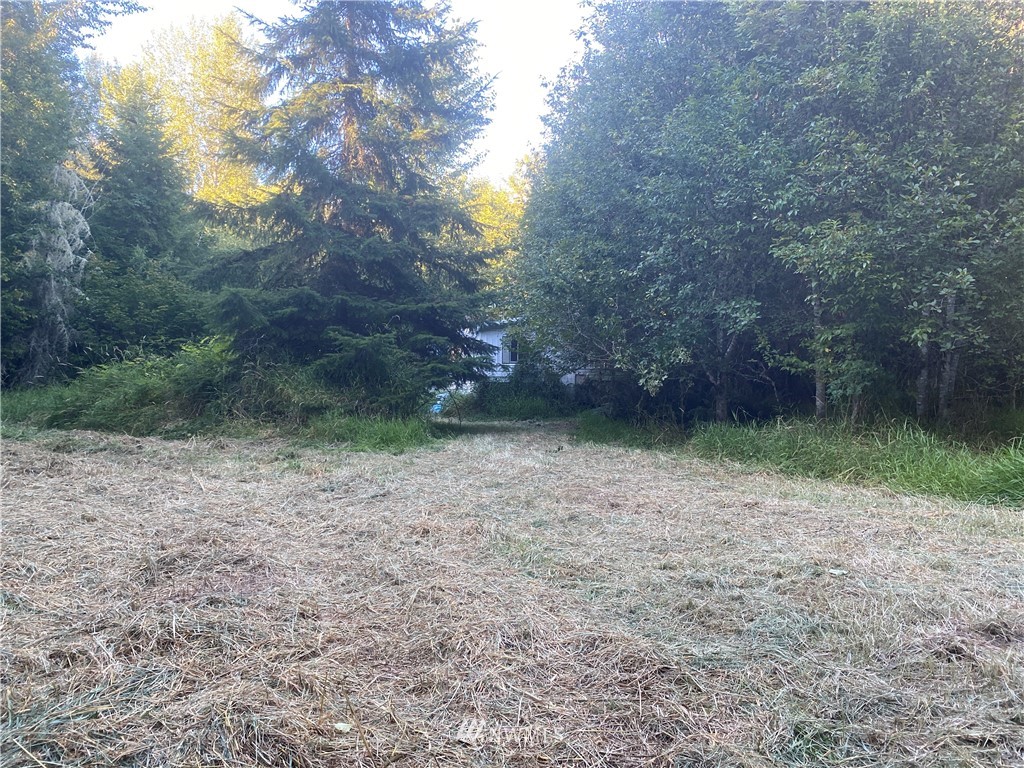 100 Smokey Valley Road Toledo, WA 98591 - Photo 3 of 22