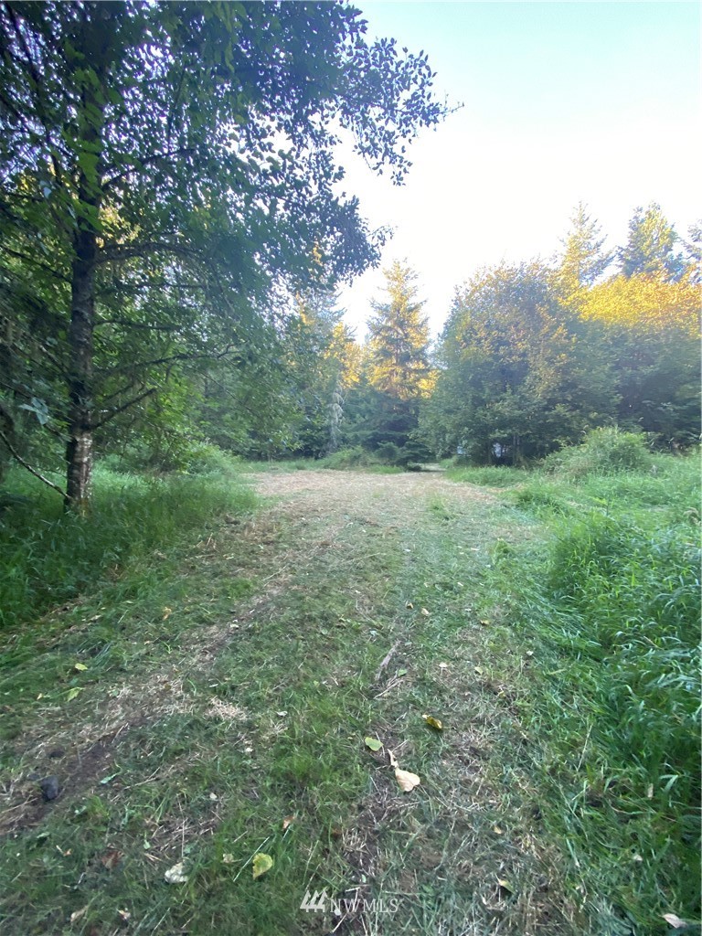 100 Smokey Valley Road Toledo, WA 98591 - Photo 21 of 22