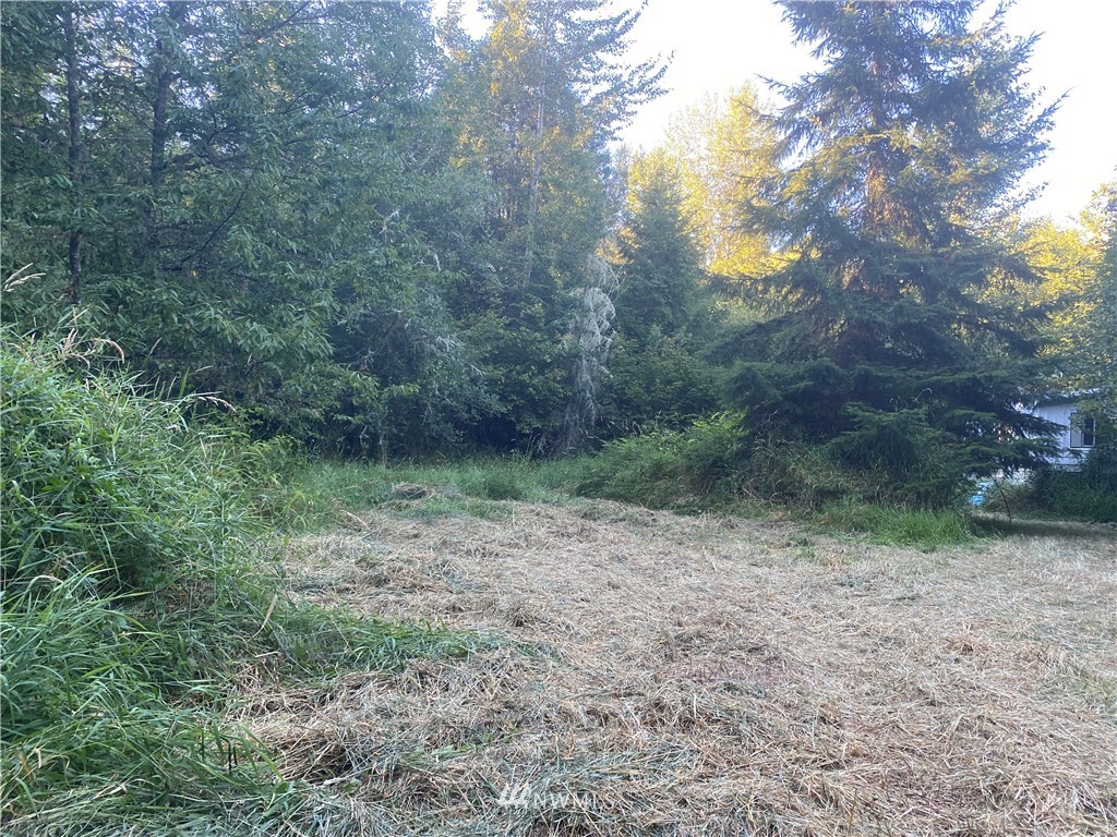 100 Smokey Valley Road Toledo, WA 98591 - Photo 22 of 22
