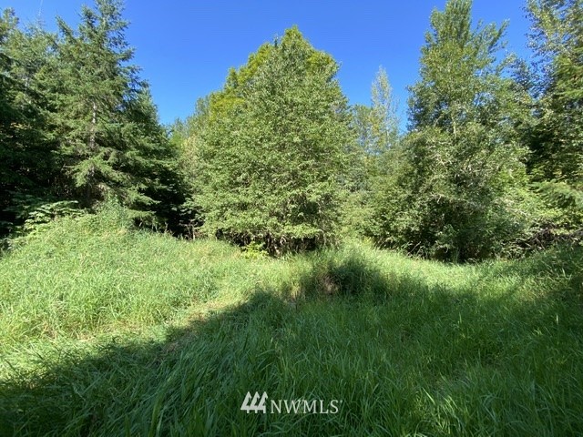 100 Smokey Valley Road Toledo, WA 98591 - Photo 5 of 22