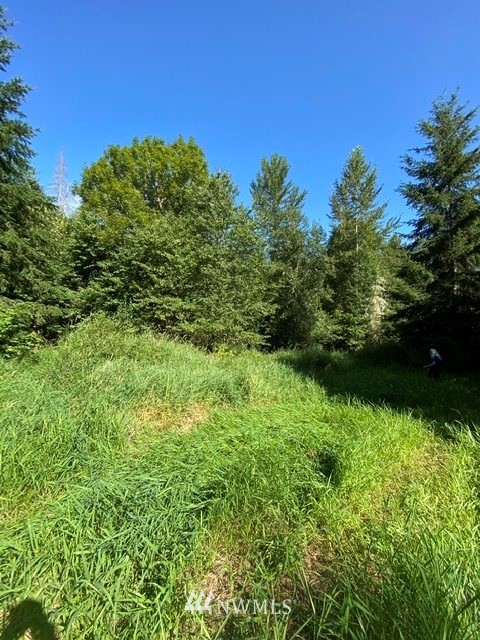 100 Smokey Valley Road Toledo, WA 98591 - Photo 6 of 22
