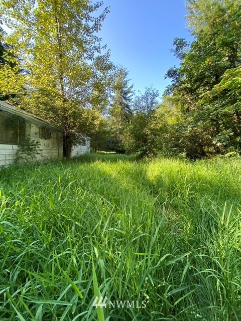 100 Smokey Valley Road Toledo, WA 98591 - Photo 9 of 22