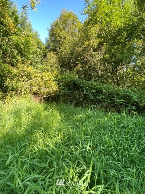 100 Smokey Valley Road Toledo, WA 98591 - Photo 10 of 22