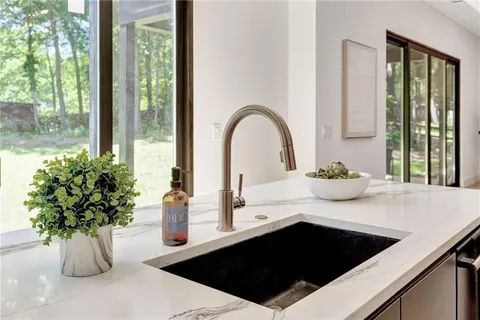 a kitchen with a sink and a potted plant