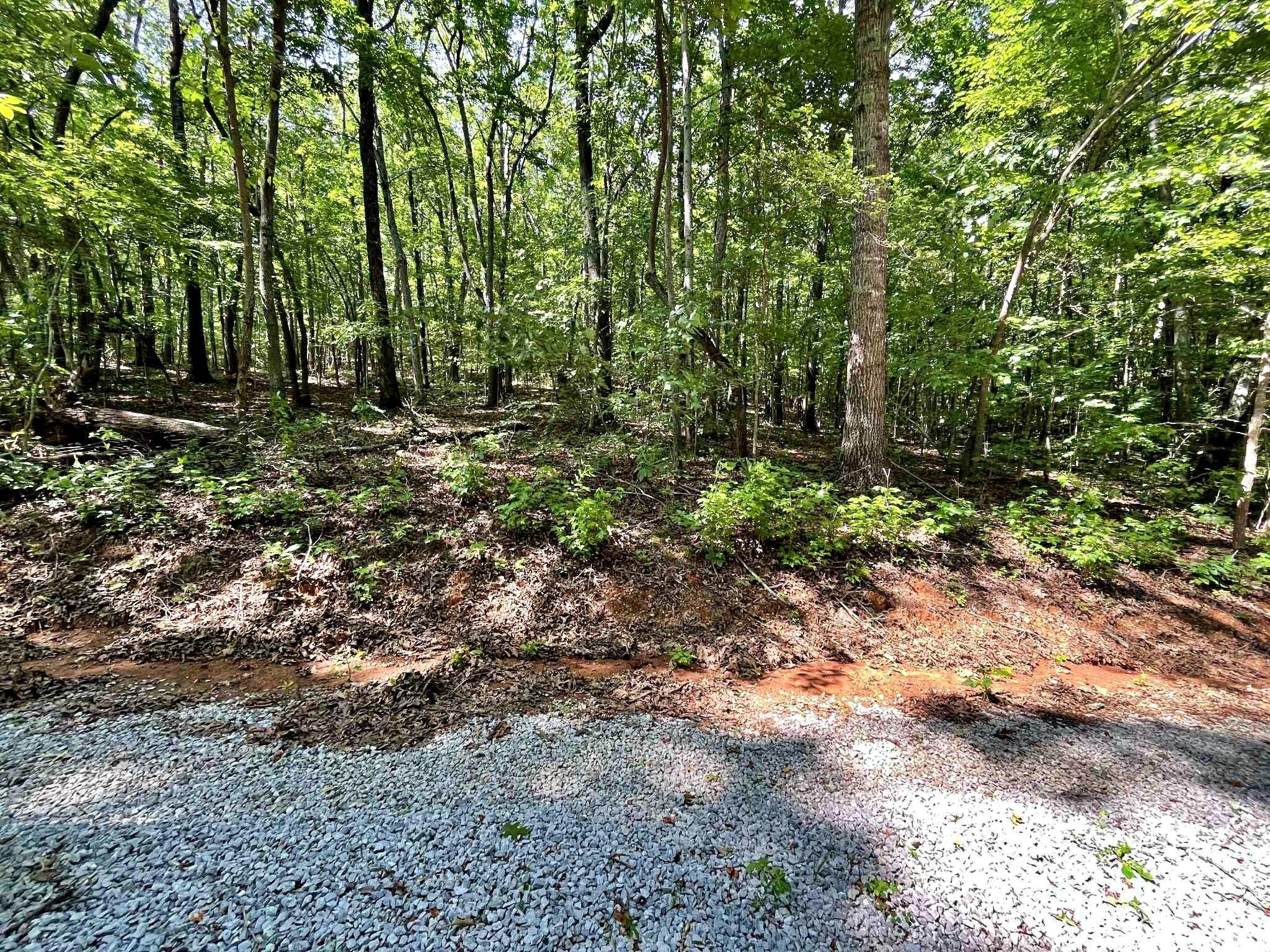 2 Raby Hollow Road Kingston, TN 37763 - Photo 10 of 13