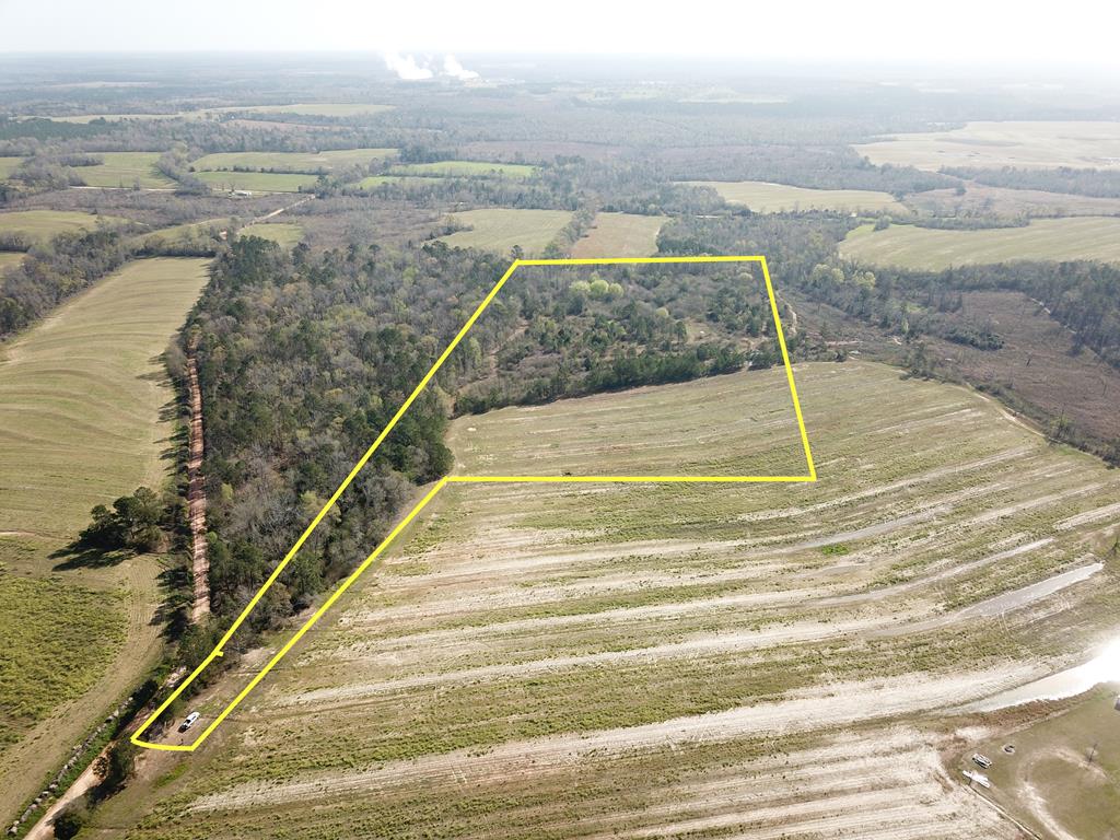 25-acres Rufus White Road Columbia, AL 36319 - Photo 1 of 1