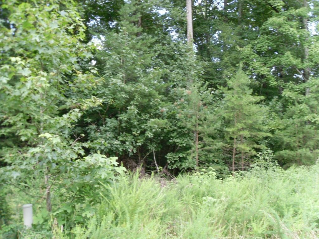 12 Eagle Ridge Road Rockwood, TN 37854 - Photo 1 of 2 Gallery Image 1