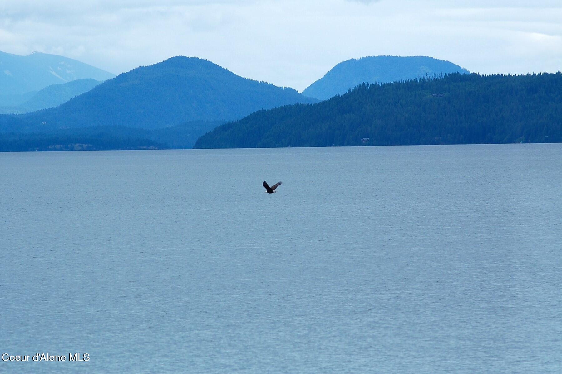 215 West Lake Street Sandpoint, ID 83864 - Photo 42 of 44 Explore North Idaho's Beauty