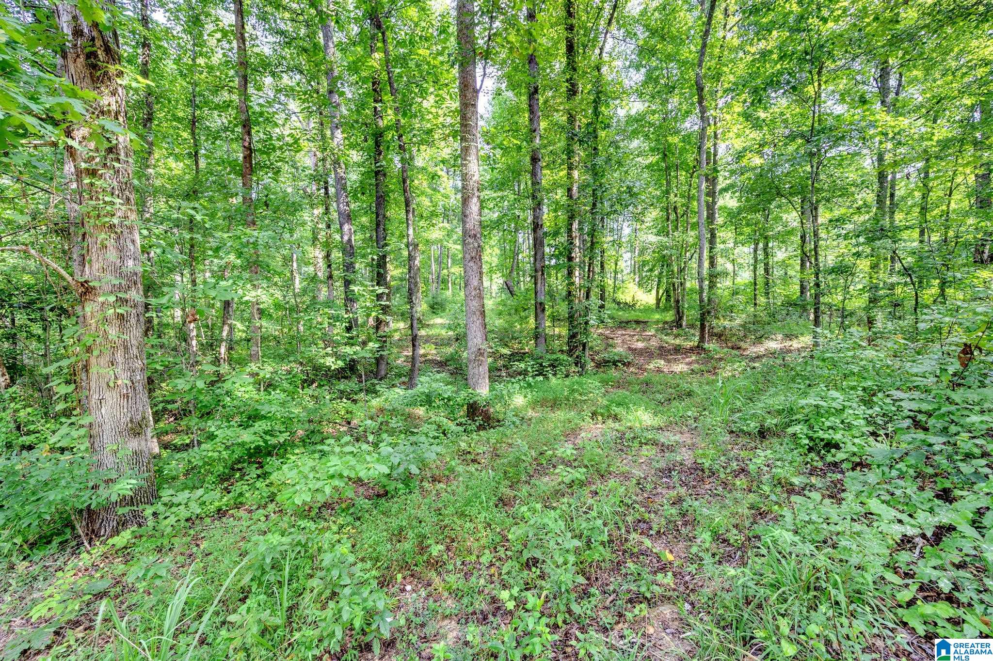 6971 Chambers Lane, Unit 1 Dora, AL 35062 - Photo 8 of 21