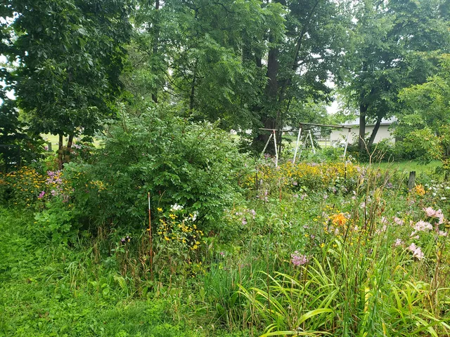 $138,000 | 310 Condit Street, Sparta, WI 54656