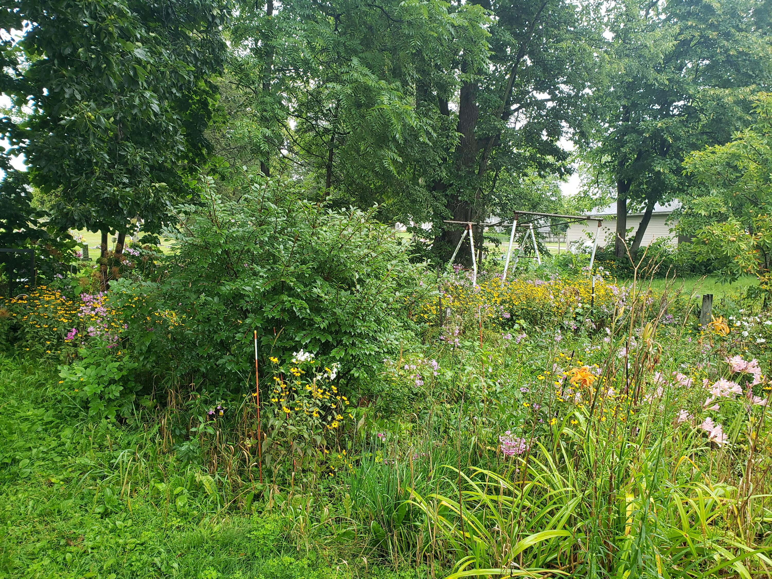 310 Condit Street Sparta, WI 54656 - Photo 28 of 29 20240815_113826