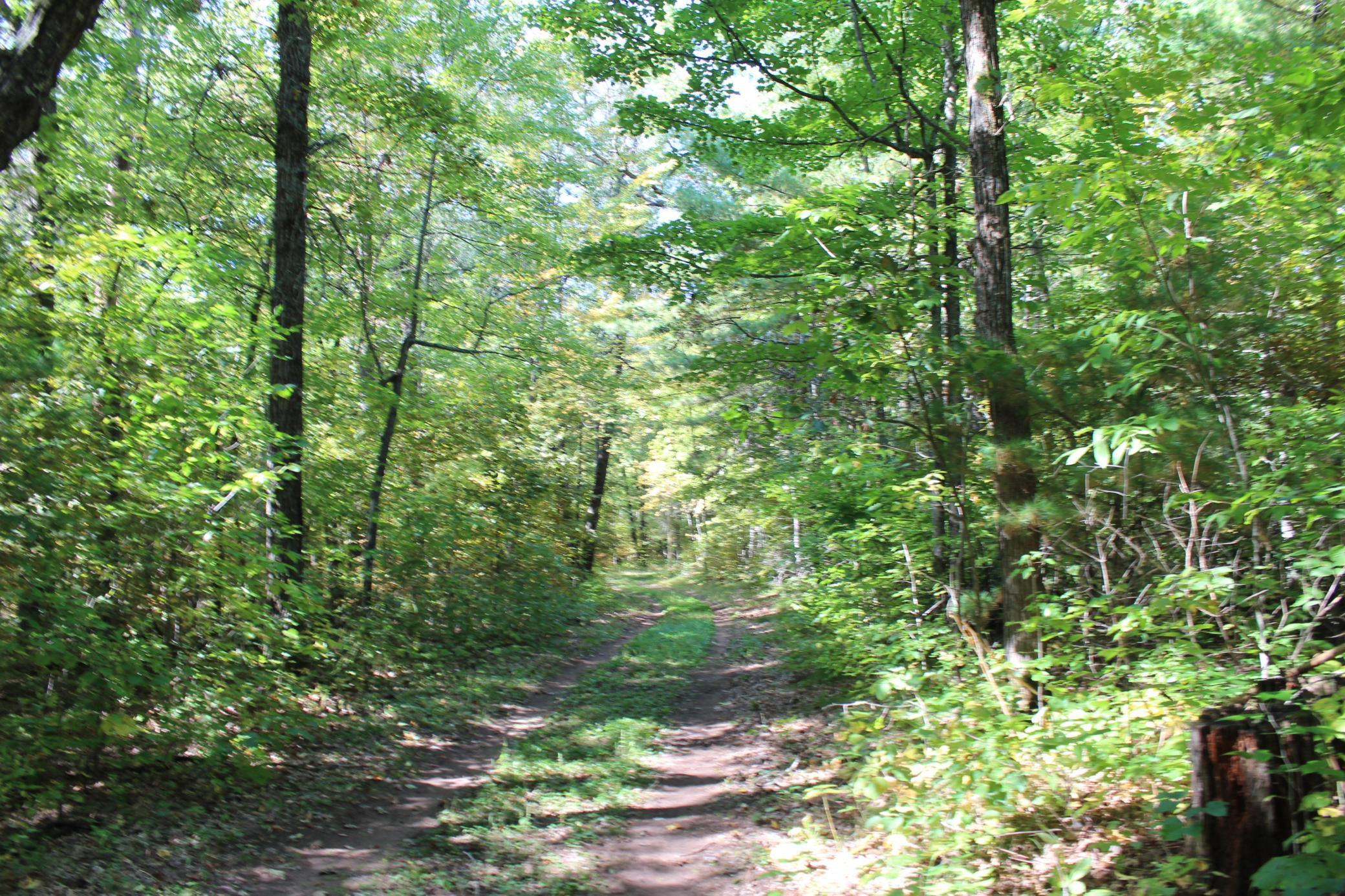 25887 Gile Road Grantsburg, WI 54840 - Photo 12 of 45