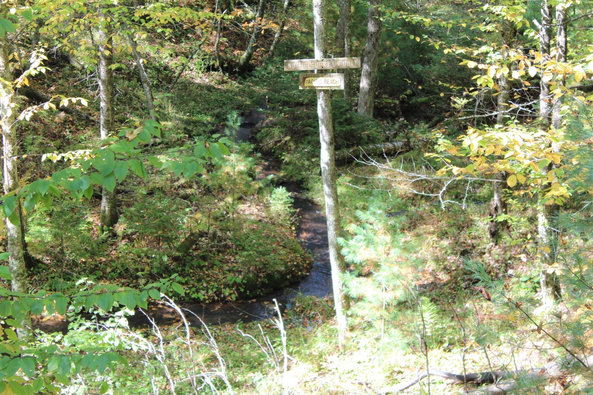 25887 Gile Road Grantsburg, WI 54840 - Photo 14 of 45