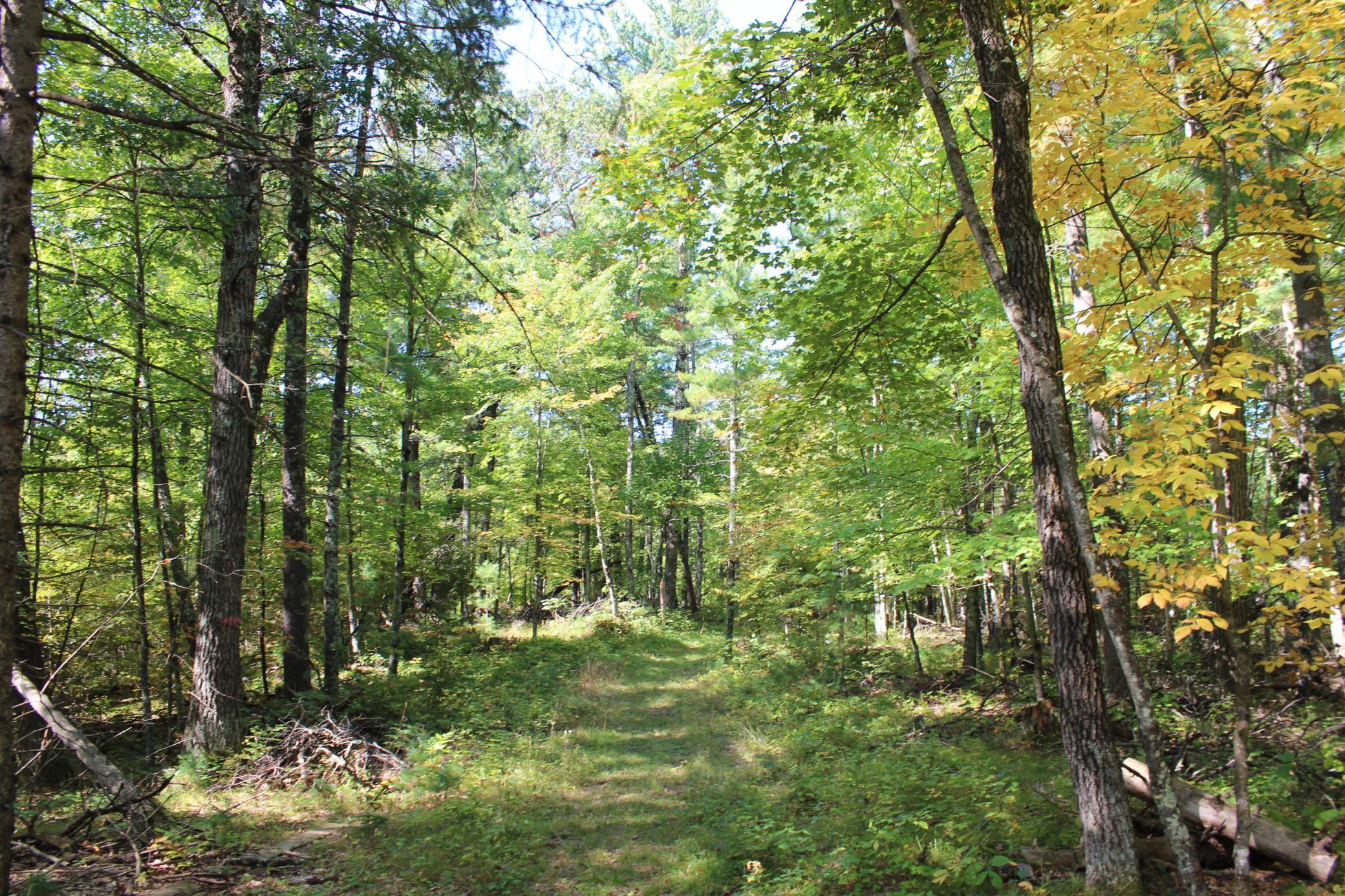 25887 Gile Road Grantsburg, WI 54840 - Photo 19 of 45