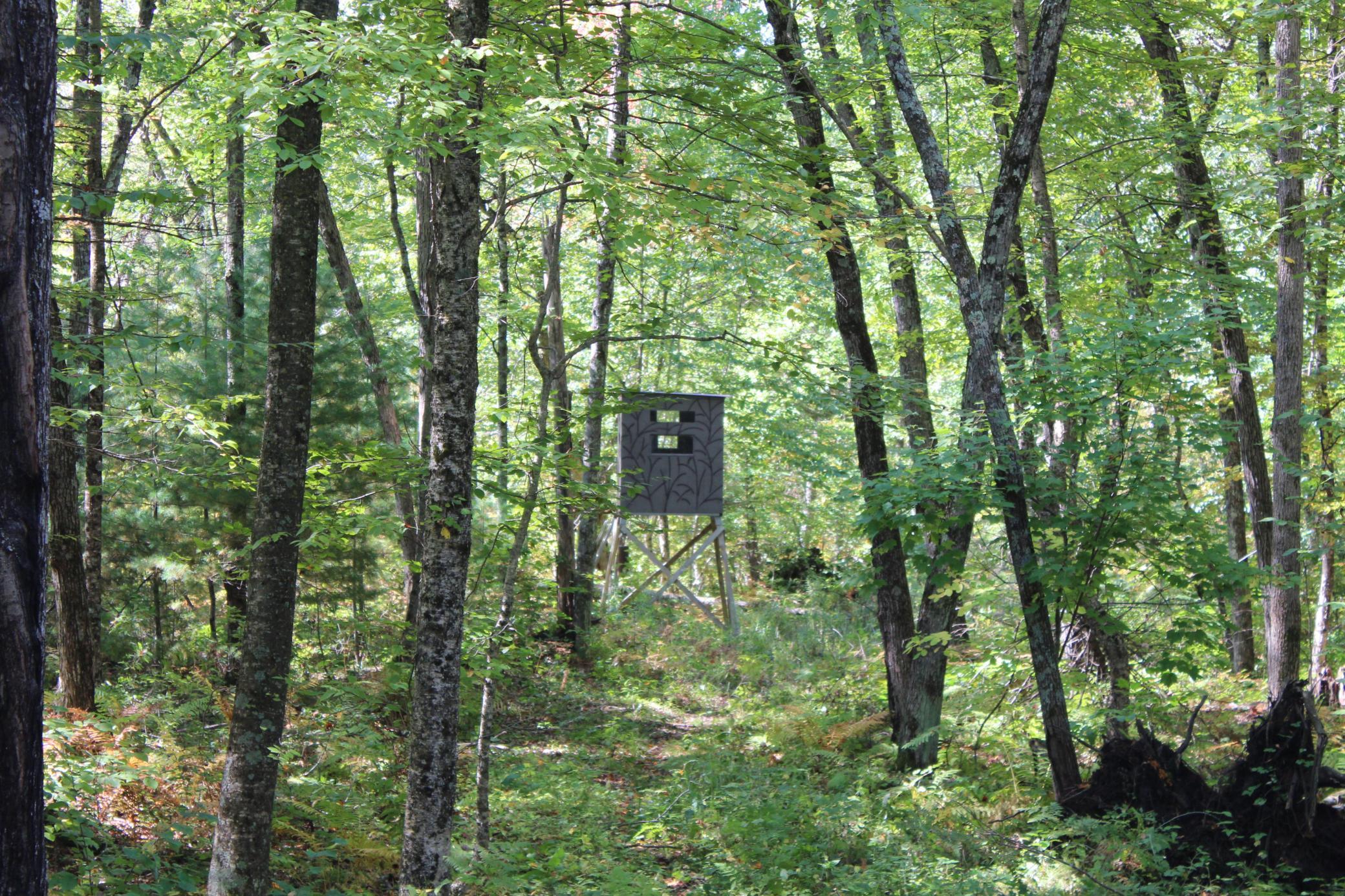 25887 Gile Road Grantsburg, WI 54840 - Photo 20 of 45