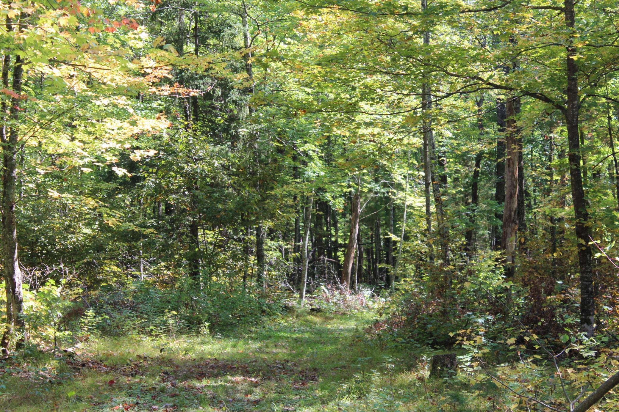 25887 Gile Road Grantsburg, WI 54840 - Photo 21 of 45