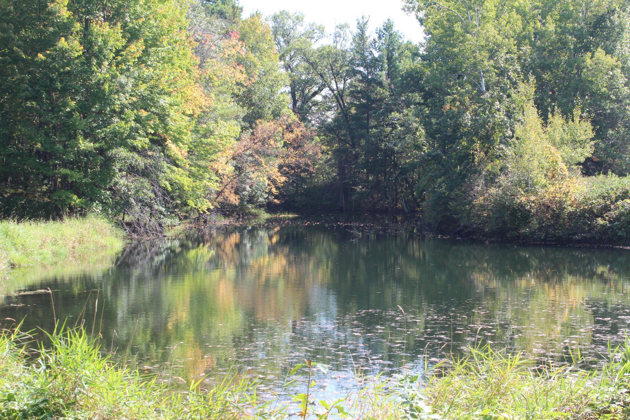 25887 Gile Road Grantsburg, WI 54840 - Photo 22 of 45