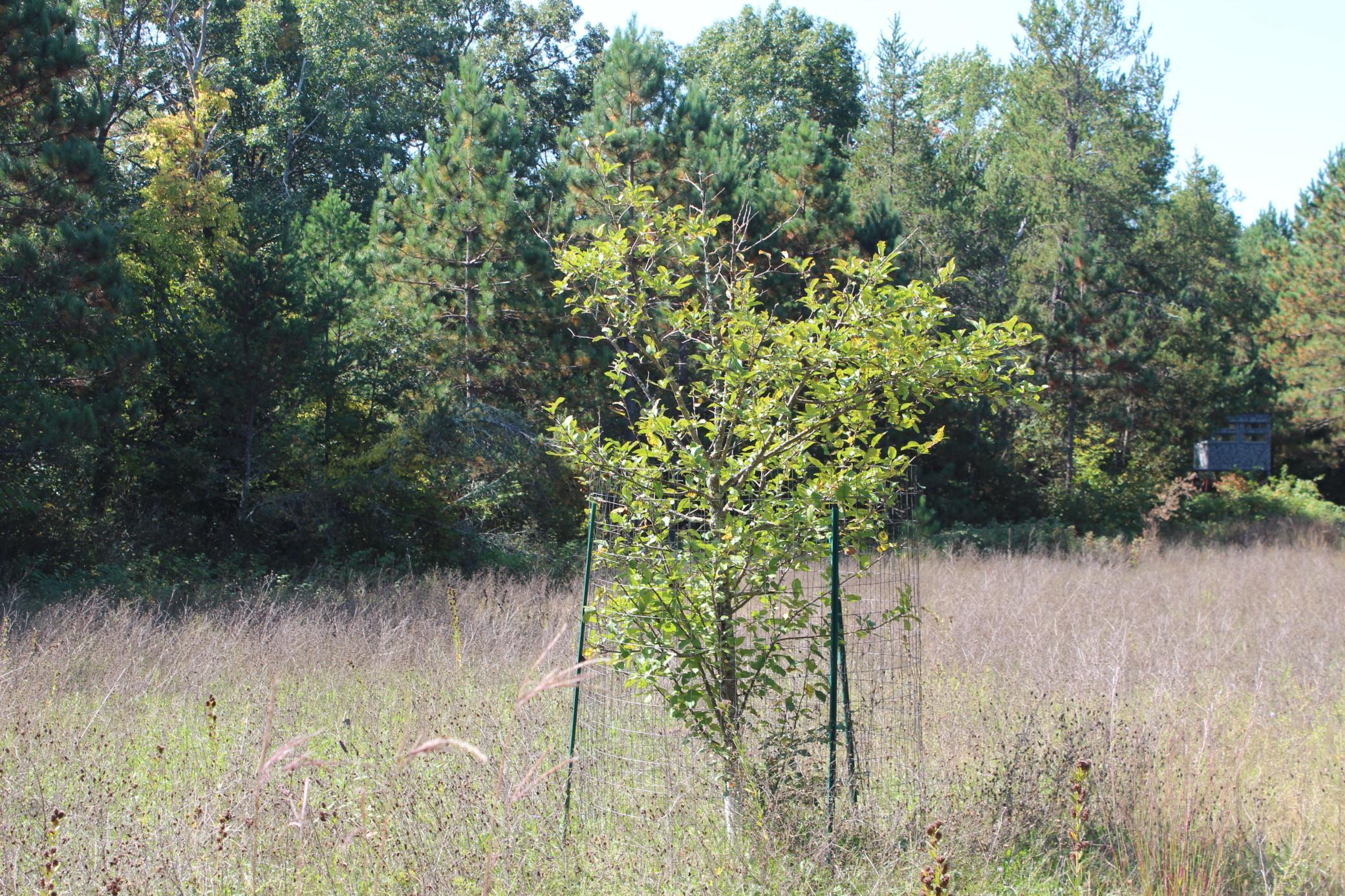 25887 Gile Road Grantsburg, WI 54840 - Photo 23 of 45