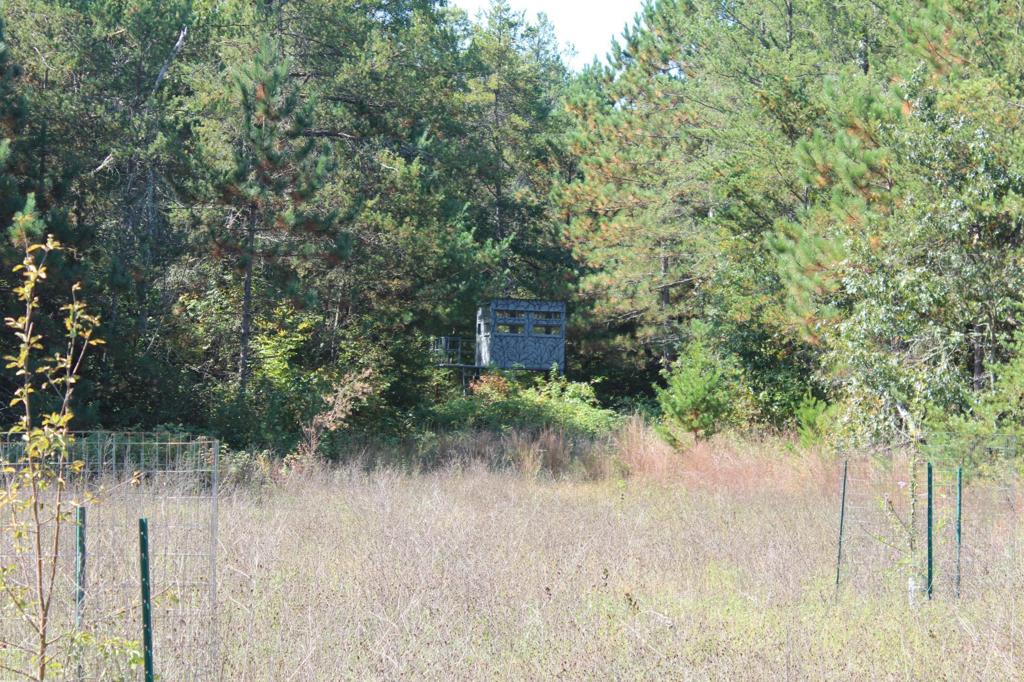 25887 Gile Road Grantsburg, WI 54840 - Photo 24 of 45