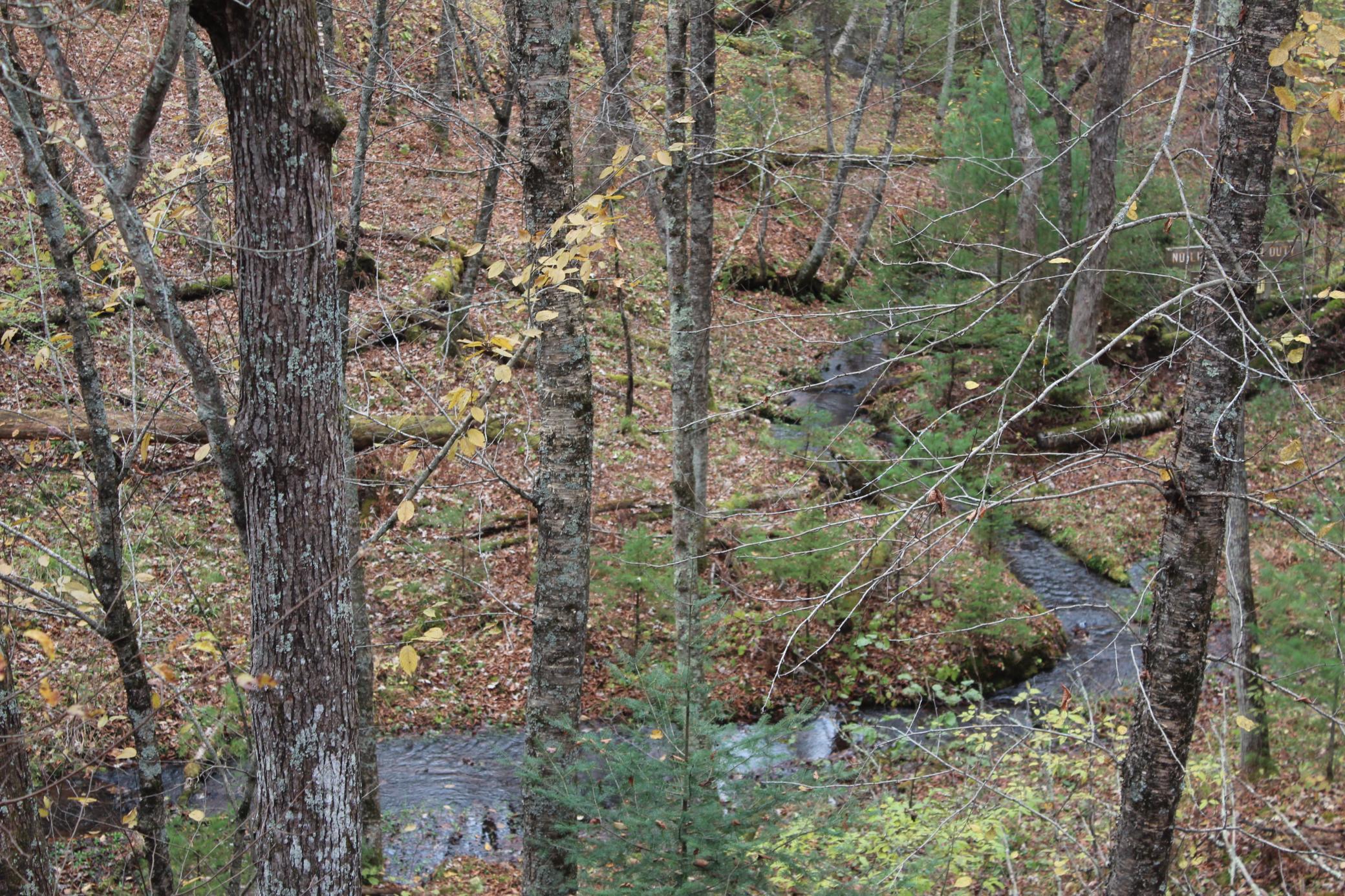 25887 Gile Road Grantsburg, WI 54840 - Photo 34 of 45