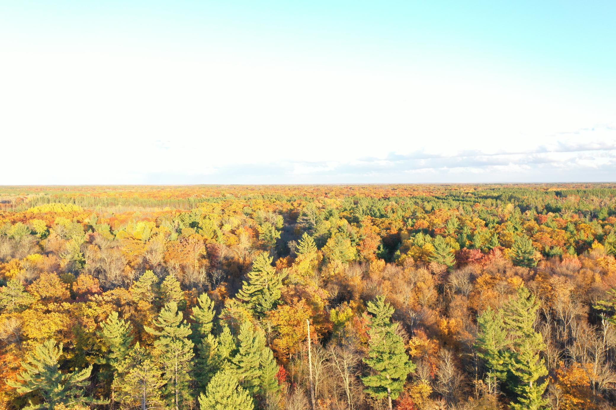 25887 Gile Road Grantsburg, WI 54840 - Photo 45 of 45