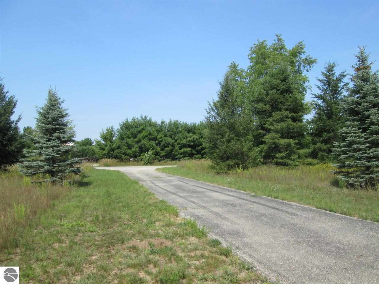 12087 Homestead Road Beulah, MI 49617 - Photo 21 of 62 1775673-20.JPG