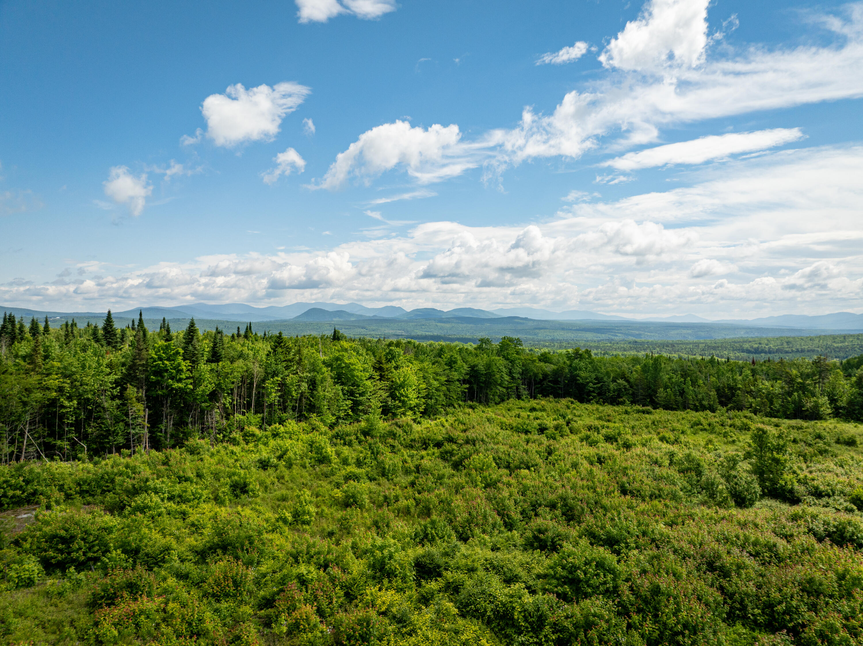 6-7 East Ridge Drive Greenville, ME 04441 - Photo 1 of 20 Alpine Ridge Phase II 009-2