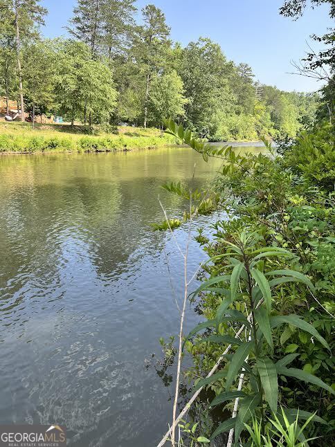 0 Old H K Wagon Road Cleveland, GA 30528 - Photo 1 of 4