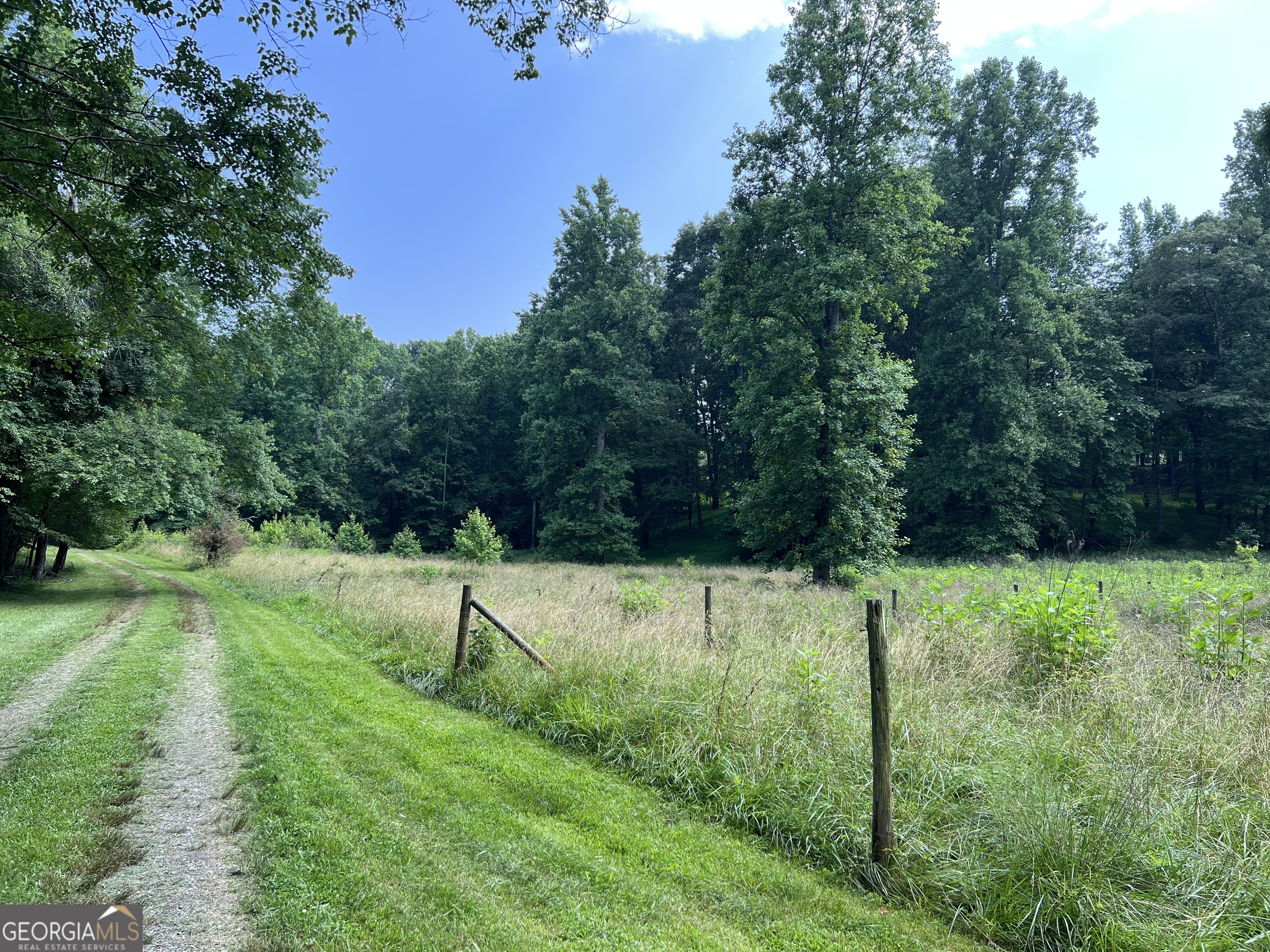 0 Old H K Wagon Road Cleveland, GA 30528 - Photo 2 of 4