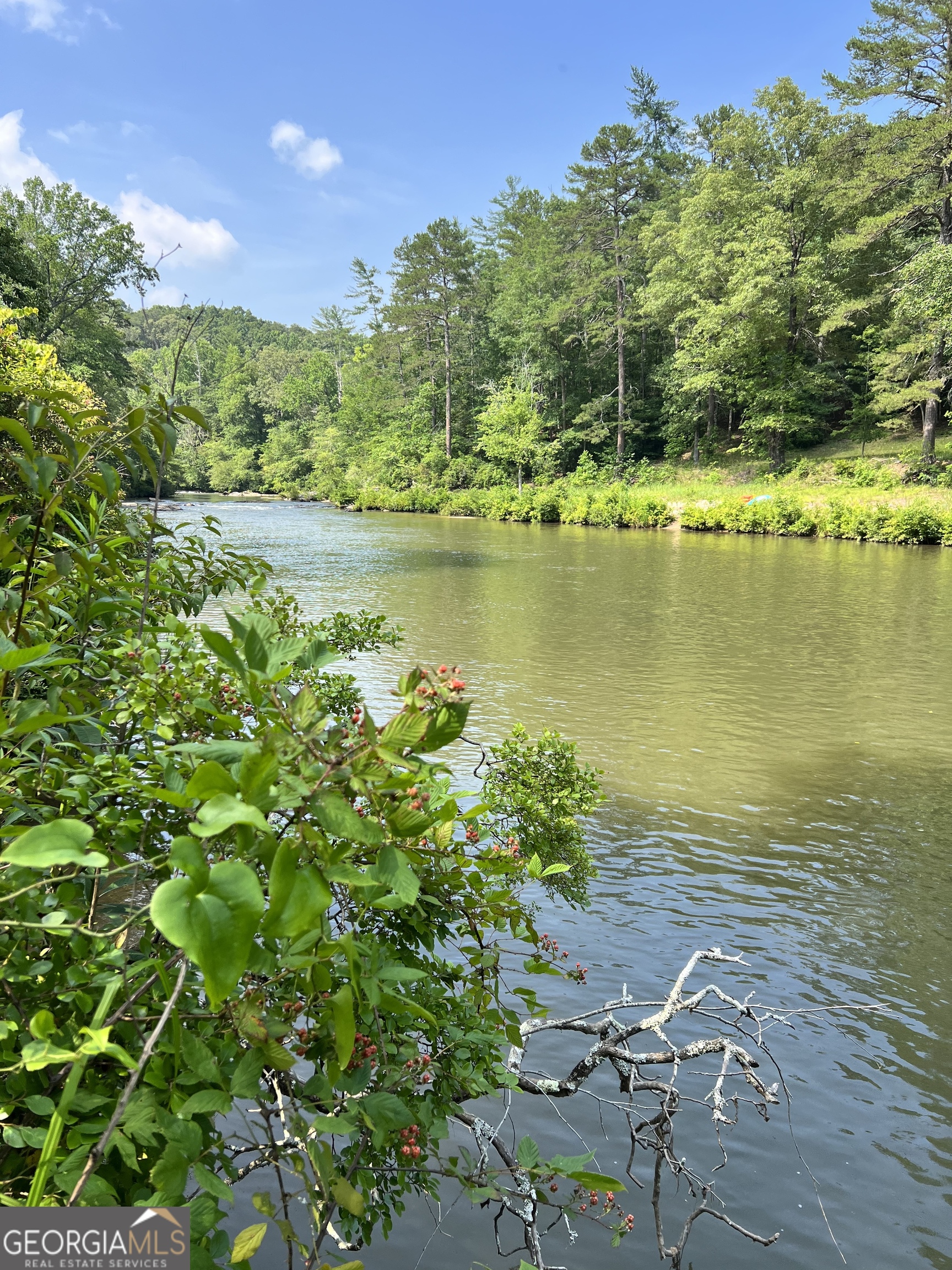 0 Old H K Wagon Road Cleveland, GA 30528 - Photo 3 of 4