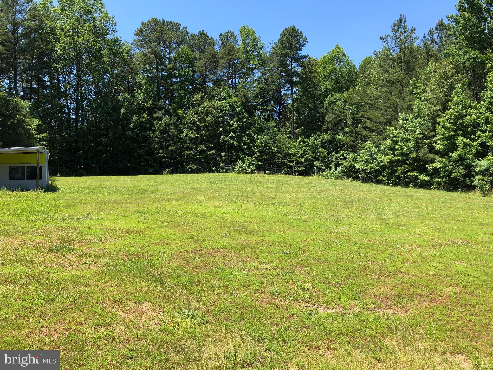 10000 Hollo Way Partlow, VA 22534 - Photo 34 of 47 Great view of back yard