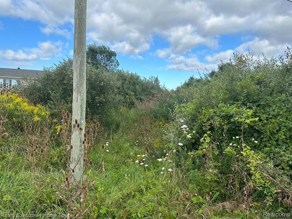 0 Wildcat Road Jeddo, MI 48032 - Photo 2 of 15