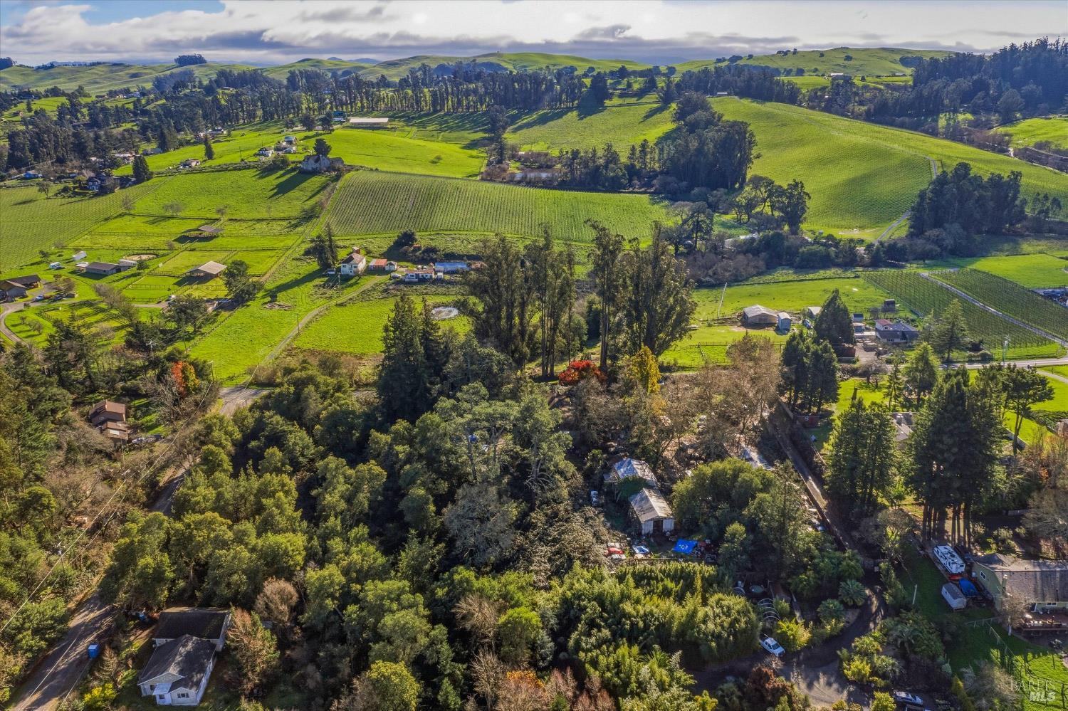 5070 Blank Road Sebastopol, CA 95472 - Photo 11 of 36 an aerial view of swimming pool with a yard and mountain view