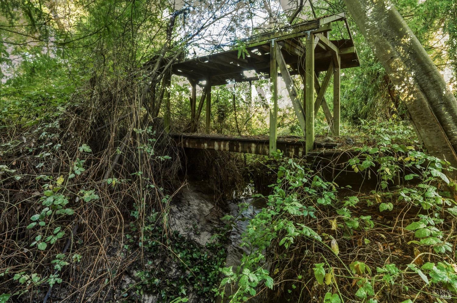 5070 Blank Road Sebastopol, CA 95472 - Photo 19 of 36 a view of a yard