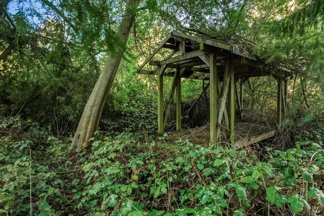 a view of a house with a yard and a tree