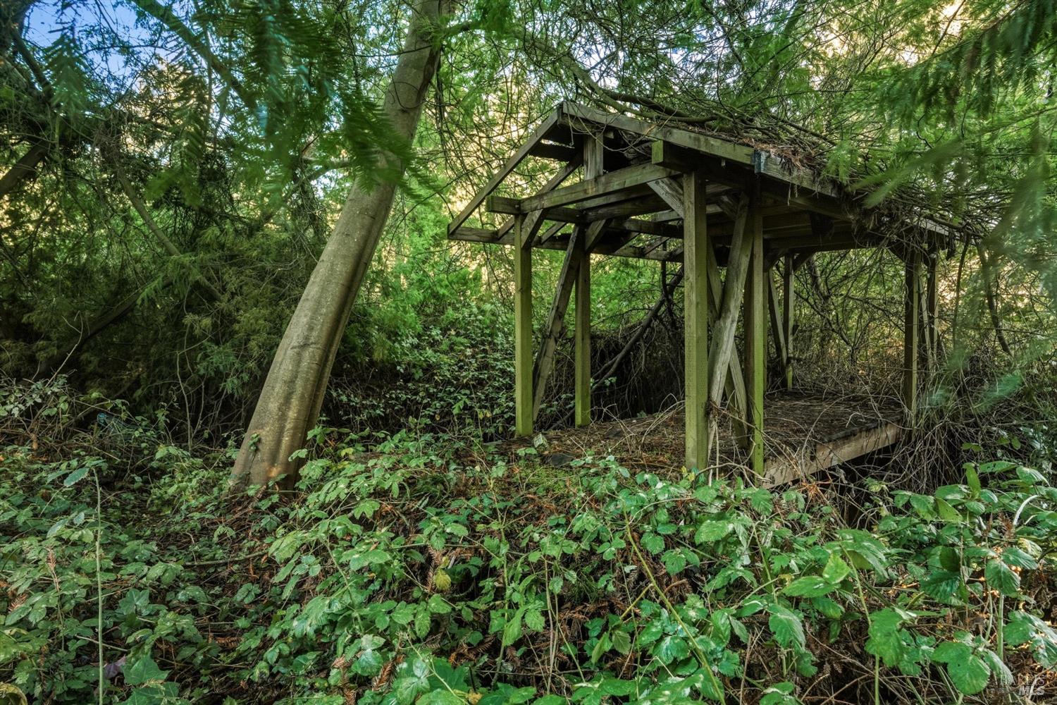 5070 Blank Road Sebastopol, CA 95472 - Photo 20 of 36 a view of forest