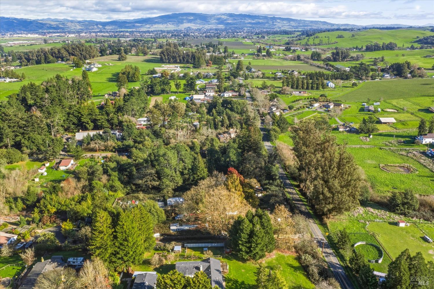 5070 Blank Road Sebastopol, CA 95472 - Photo 7 of 36 a view of a lush green field with lots of plants