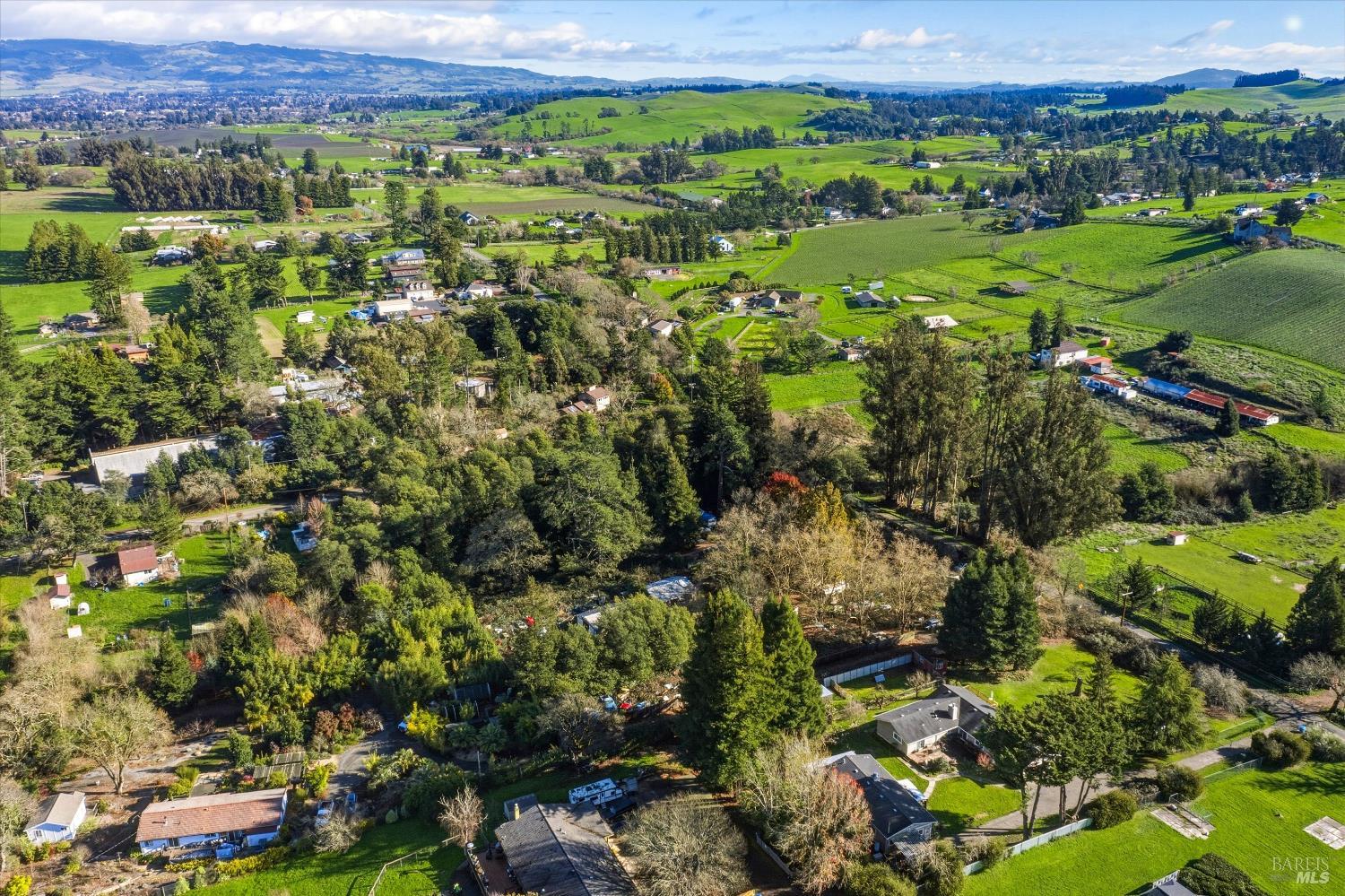5070 Blank Road Sebastopol, CA 95472 - Photo 9 of 36 a view of a lush green field with lots of bushes