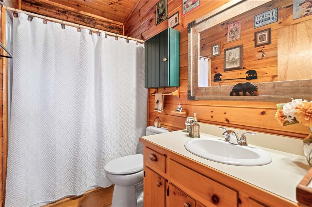 301 Laurel Creek Road Blue Ridge, GA 30513 - Photo 14 of 36 a bathroom with a sink a toilet and a mirror