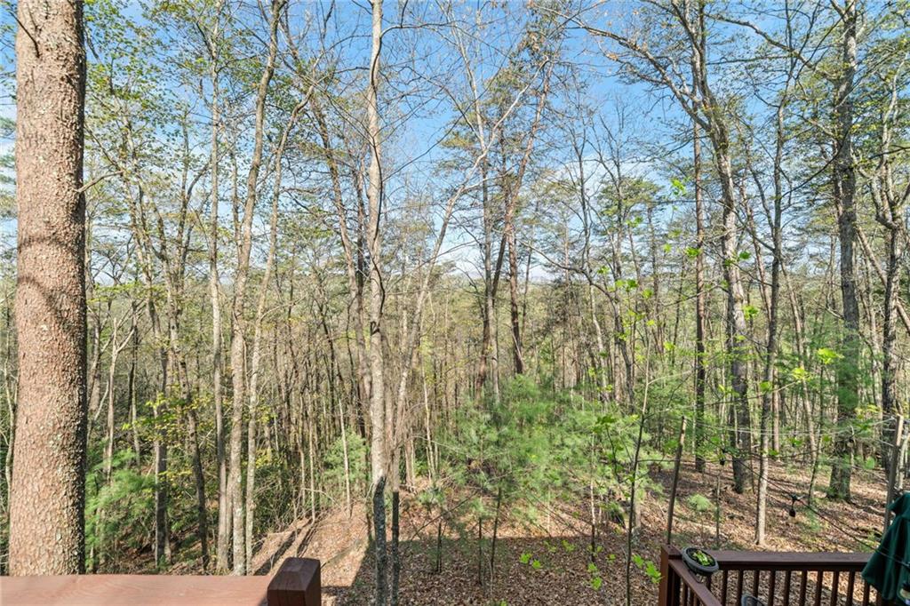 301 Laurel Creek Road Blue Ridge, GA 30513 - Photo 21 of 36