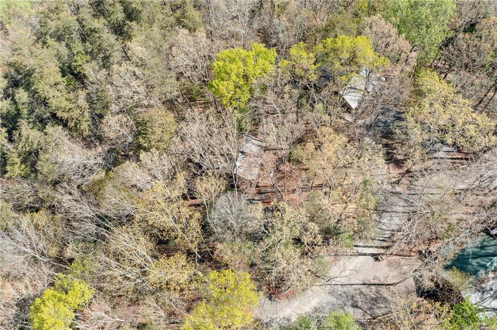 301 Laurel Creek Road Blue Ridge, GA 30513 - Photo 29 of 36 a view of a yard