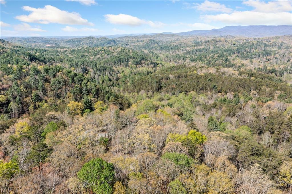 301 Laurel Creek Road Blue Ridge, GA 30513 - Photo 30 of 36 a view of a city with lush green forest
