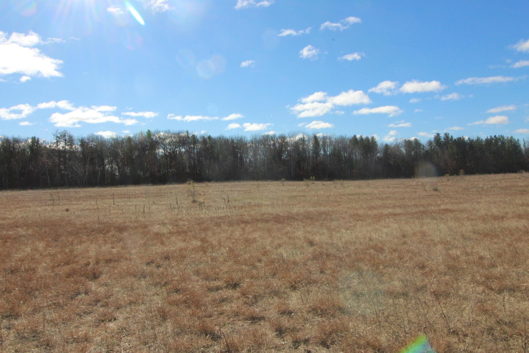 Parcel C Keystone Avenue Harris, MN 55032 - Photo 5 of 6