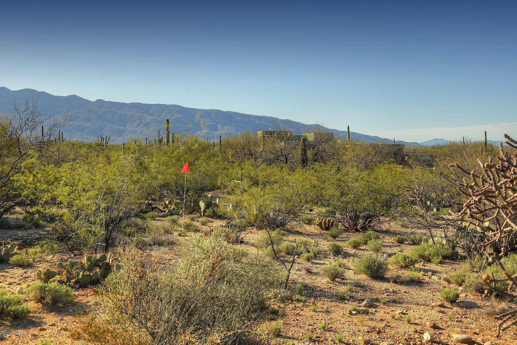 12350 East Prince Road Tucson, AZ 85749 - Photo 23 of 44 Gallery Image 23