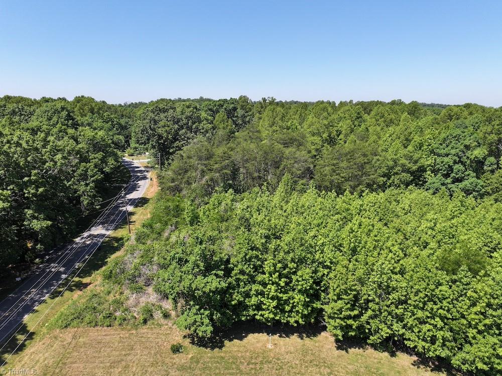0 Salem Church Road Reidsville, NC 27320 - Photo 8 of 19
