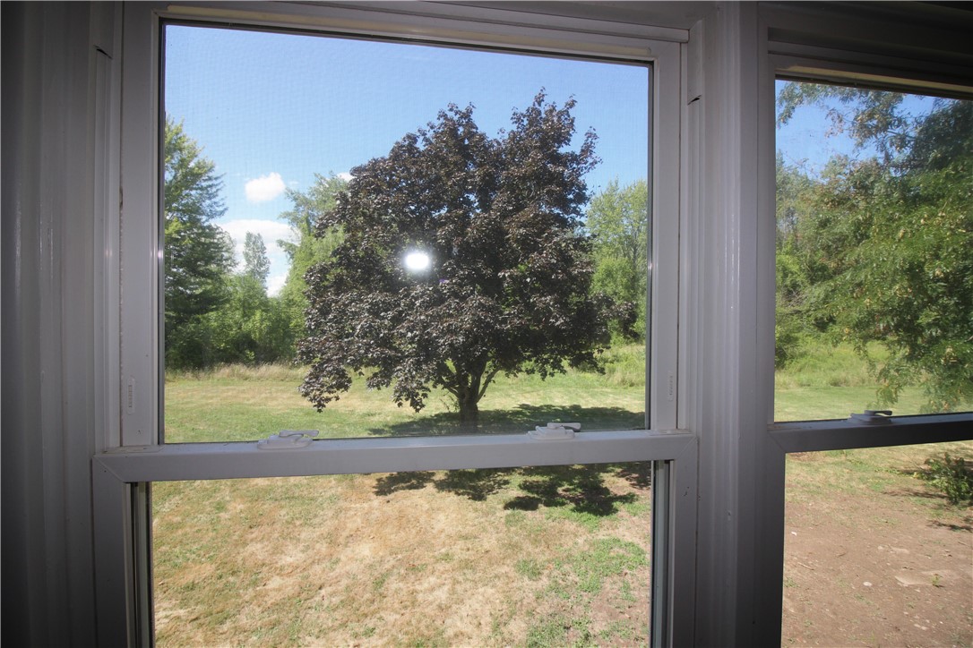 6655 North Centenary Road Williamson, NY 14589 - Photo 18 of 23 View of private rear yard from bedroom