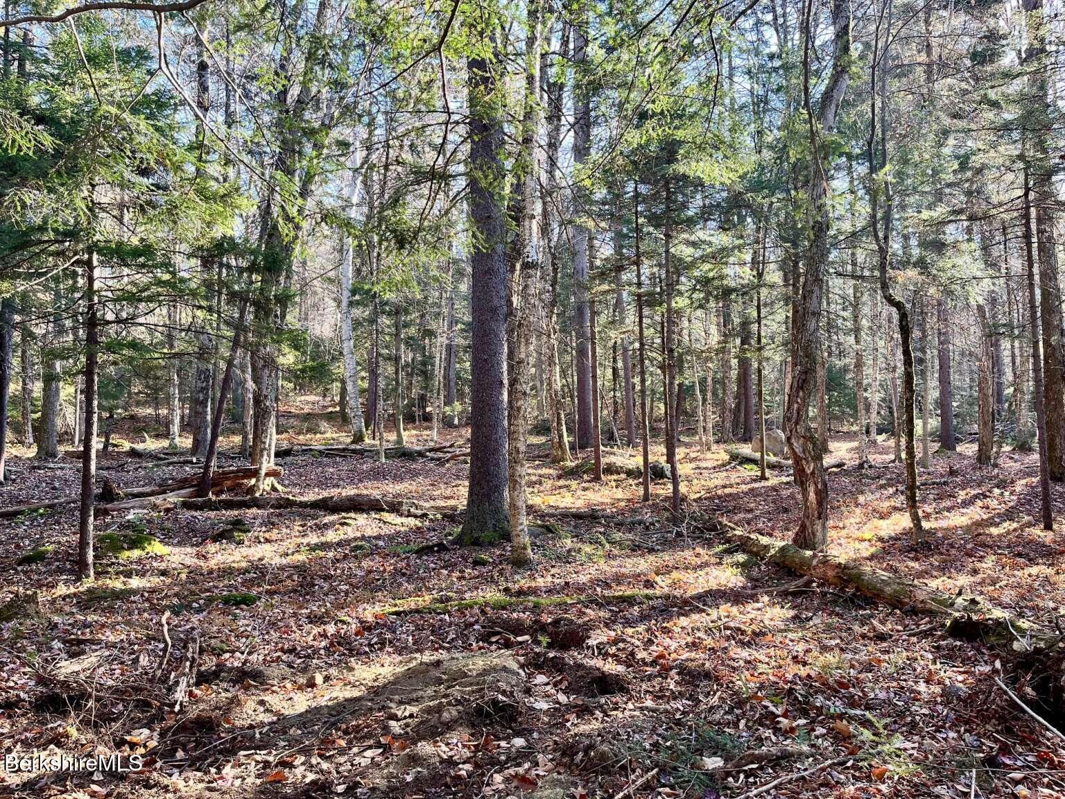 0 Woodmere Road Becket, MA 01223 - Photo 2 of 7 Belanger.2